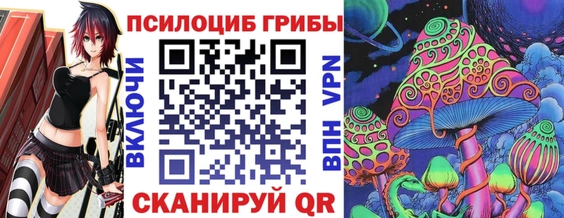 Псилоцибиновые грибы GOLDEN TEACHER  Плёс 